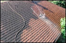 Prevent Roof Mold